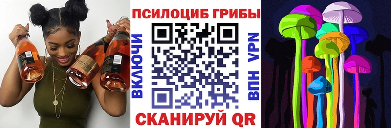 Галлюциногенные грибы GOLDEN TEACHER  цена   Балахна 