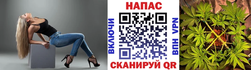 Канабис семена  сколько стоит  Балахна 